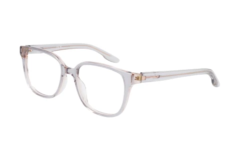 Designerbrillen Nike NIKE 7172 N 031