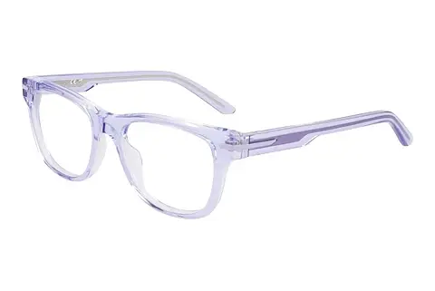 Designerbrillen Nike NIKE 7176 557