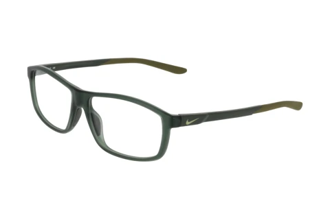 Designerbrillen Nike NIKE 7291 N 302
