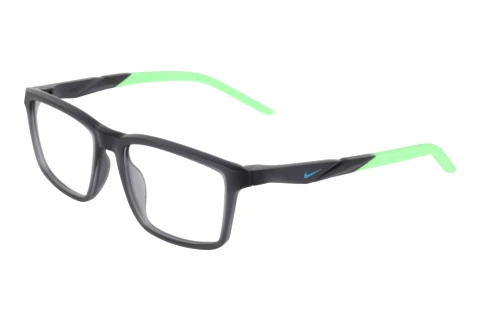 Designerbrillen Nike NIKE 7295 039