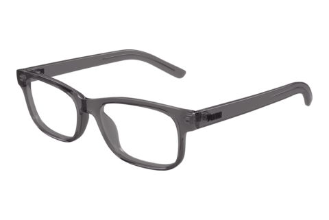 Designerbrillen Puma PJ0086O 006
