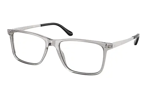 Designerbrillen Ralph Lauren RL6133 5111