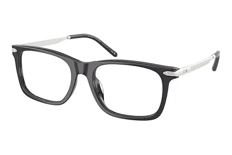Designerbrillen Ralph Lauren RL6253U 5965