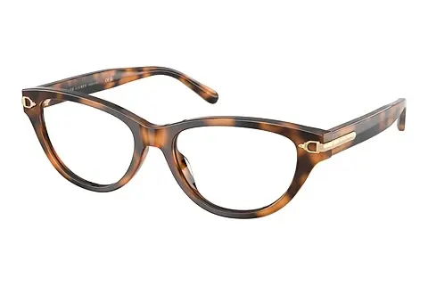 Designerbrillen Ralph Lauren RL6257U 6089