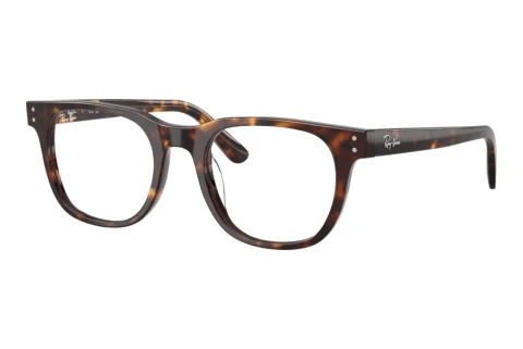 Designerbrillen Ray-Ban RX5461D 2012