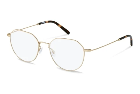Designerbrillen Rodenstock R2632 G000