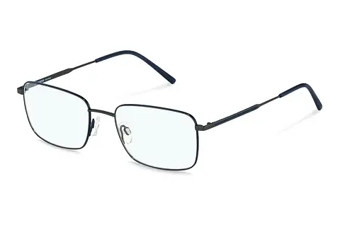 Designerbrillen Rodenstock R2642 C000