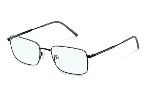 Designerbrillen Rodenstock R2642 D000
