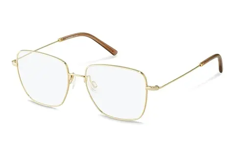 Designerbrillen Rodenstock R2653 D000