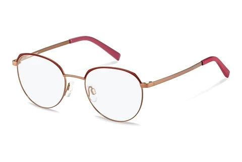 Designerbrillen Rodenstock R2657 A000