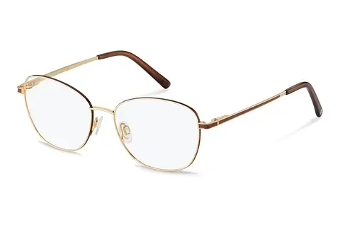 Designerbrillen Rodenstock R2660 A000
