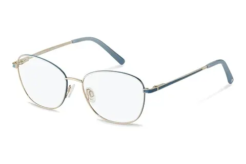 Designerbrillen Rodenstock R2660 B000