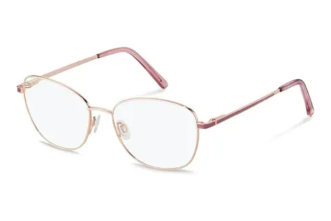 Designerbrillen Rodenstock R2660 C000