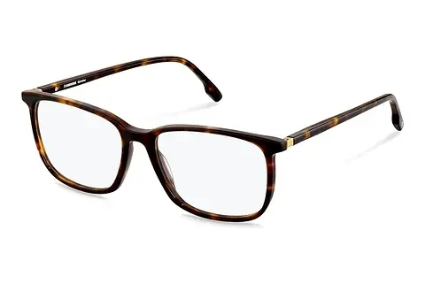 Designerbrillen Rodenstock R5360 B000