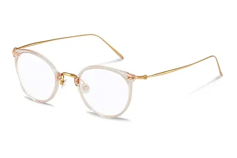 Designerbrillen Rodenstock R7079 B