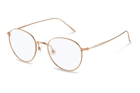 Designerbrillen Rodenstock R7119 B
