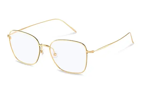 Designerbrillen Rodenstock R7120 D