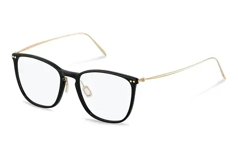 Designerbrillen Rodenstock R7134 B000