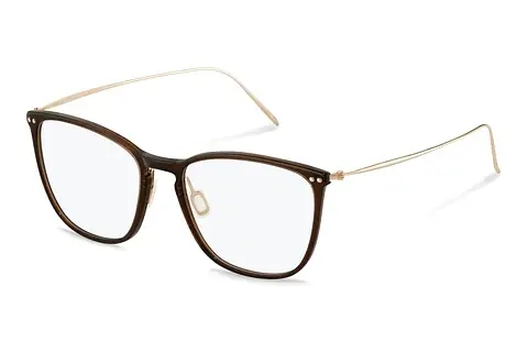 Designerbrillen Rodenstock R7134 D000