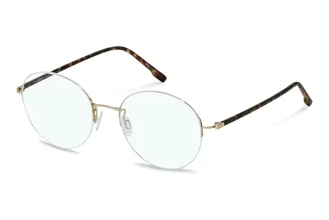 Designerbrillen Rodenstock R7145 C000