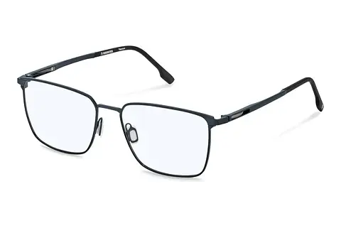 Designerbrillen Rodenstock R7153 C000