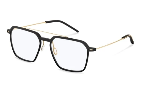 Designerbrillen Rodenstock R7196 A000