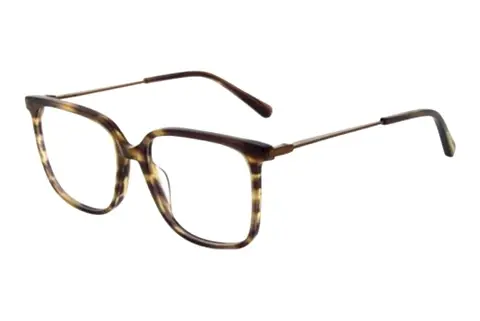 Designerbrillen Scotch and Soda 503012 107
