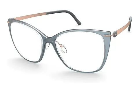 Designerbrillen Silhouette Infinity View (1610 4530)