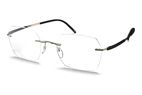 Designerbrillen Silhouette Titan Dynamics Contour (5540-HB 7632)