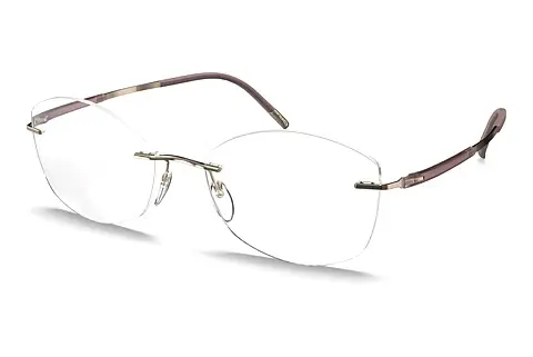 Designerbrillen Silhouette Titan Dynamics Contour (5540-JN 3532)