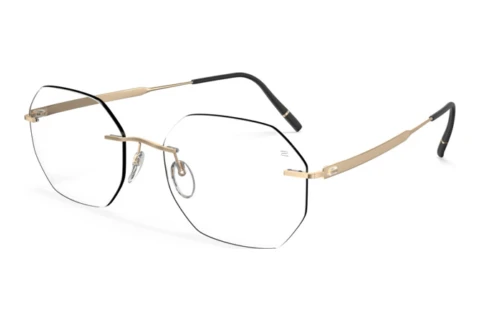 Designerbrillen Silhouette The Timeless Visionary (5603-LD 7530)