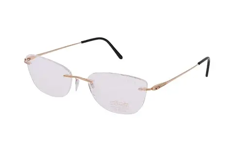 Designerbrillen Silhouette Atelier G025/AK D1E8