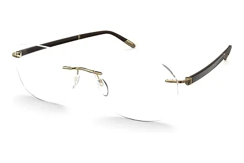 Designerbrillen Silhouette Hinge C-2 (L014-LT 7520)