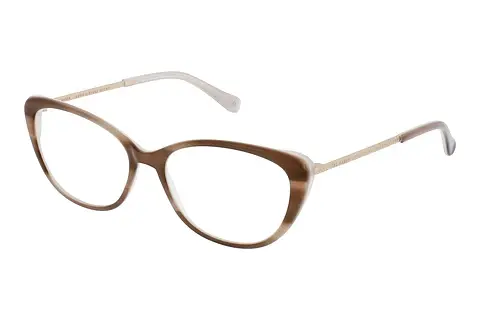 Designerbrillen Ted Baker 9198 151