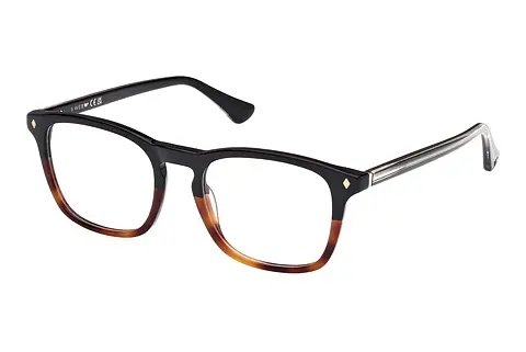 Designerbrillen Web Eyewear WE5386 056