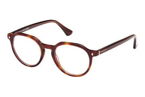 Designerbrillen Web Eyewear WE5427 056