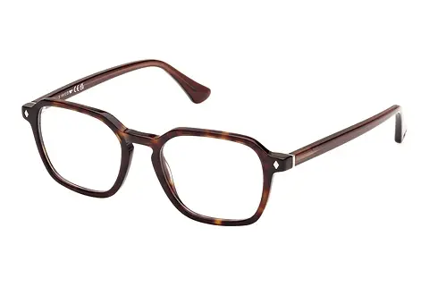Designerbrillen Web Eyewear WE5428 056