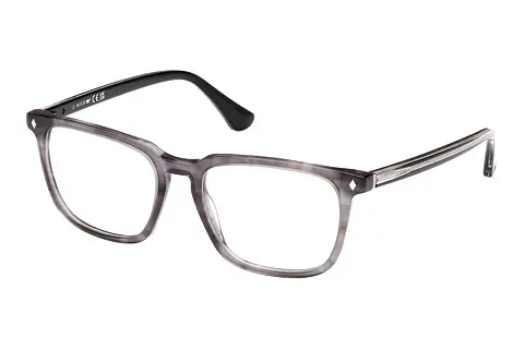 Designerbrillen Web Eyewear WE5430 020