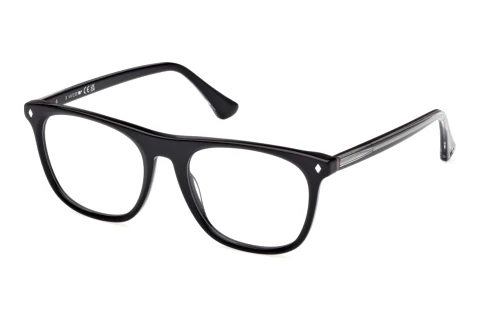 Designerbrillen Web Eyewear WE5462 005