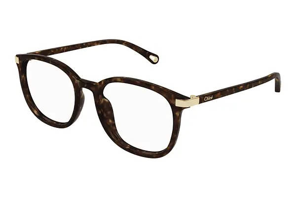 Designerbrillen Chloé CH0247OA 002