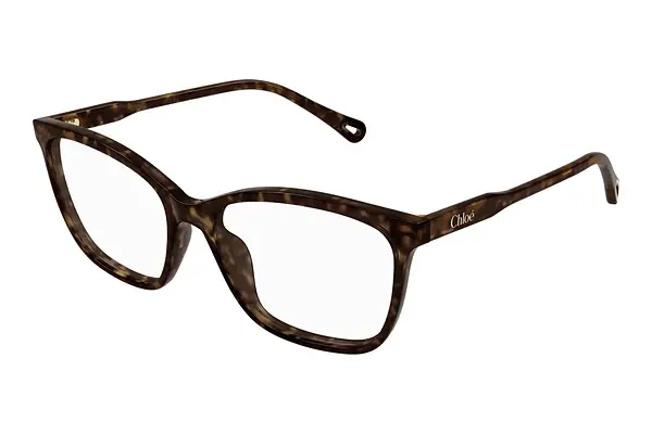 Designerbrillen Chloé CH0318O 002