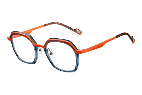 Designerbrillen Etnia Barcelona GARY PTOG