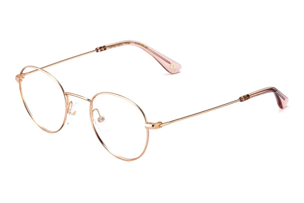 Designerbrillen Etnia Barcelona SUNSET BLVD. PKBZ