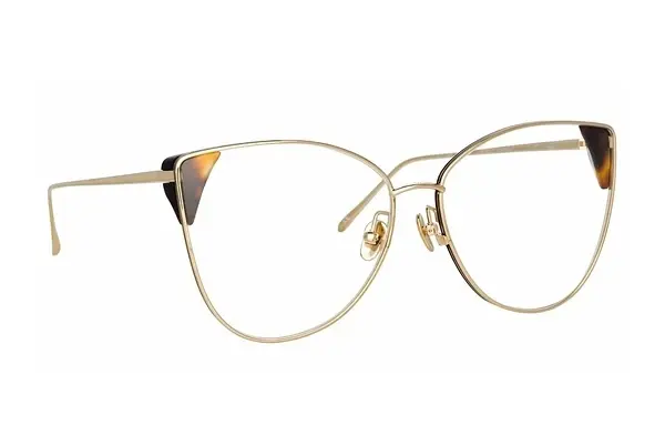 Designerbrillen Linda Farrow LFL1028 C6