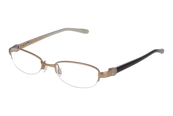 Designerbrillen Puma PU15262 GD