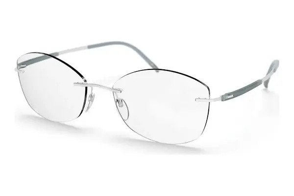Designerbrillen Silhouette Titan Dynamics Contour (5540-JN 7000)