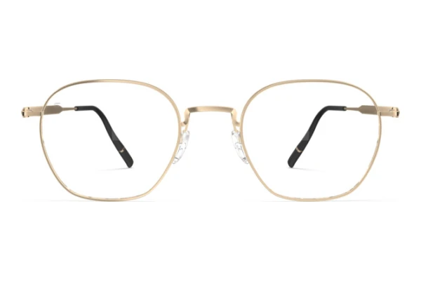 Designerbrillen Silhouette Pure Visionary (5592 7631)