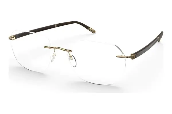 Designerbrillen Silhouette Hinge C-2 (L014-LT 7520)