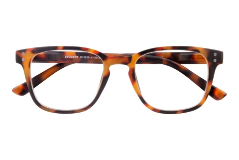  I NEED YOU STUDENT G15200 havanna D1.00