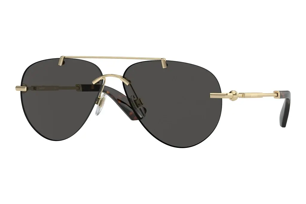 Burberry   BE3151 110987 Dark GreyLight Gold